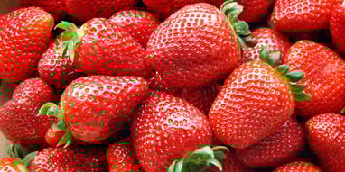 Pick Strawberries Day (20th May) Days Of The Year
