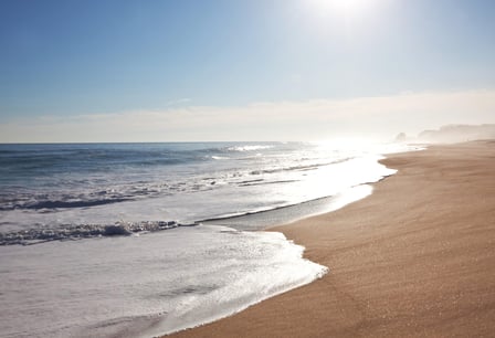 World Oceans Day 8th June Days Of The Year World Oceans Day 8th June Days Of The Year