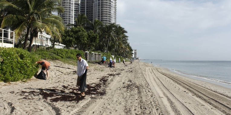 Coastal Cleanup Day (18th September, 2021) Days Of The Year