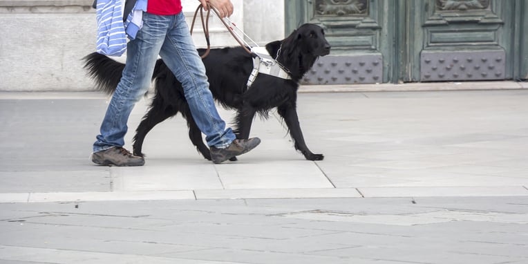 Guide Dogs Day (28th April, 2021) Days Of The Year