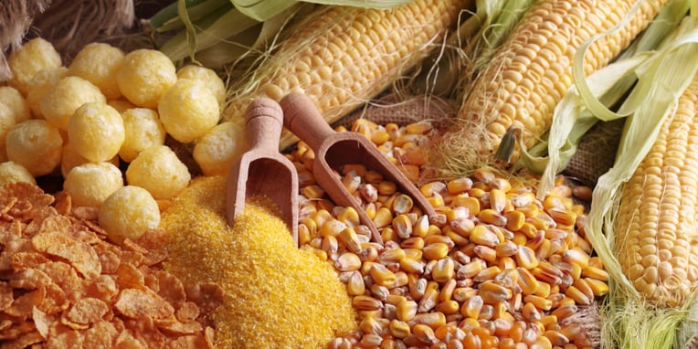 Maize Day (26th November, 2021) | Days Of The Year Maize Day (26th November, 2021) | Days Of The Year