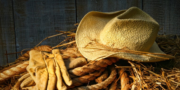 Straw Hat Month Days Of The Year (April, 2021)