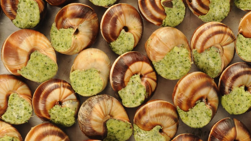 Escargot Day (24th May) Days Of The Year