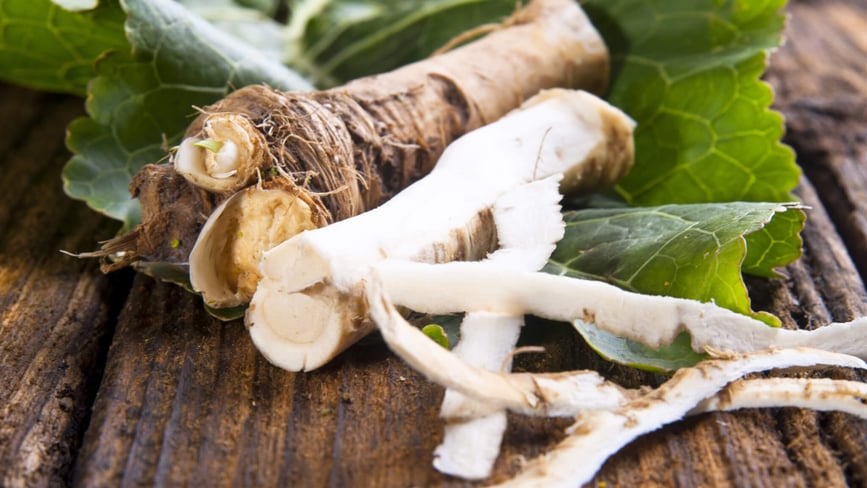 Horseradish Month (July, 2021) Days Of The Year