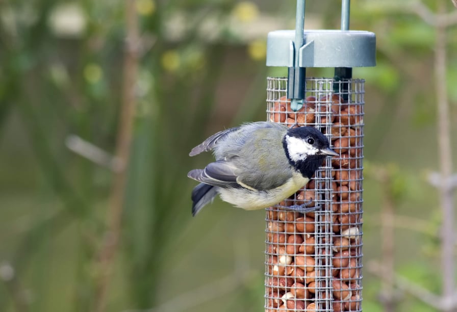 19th February, 2012 Days Of The Year