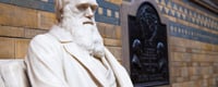 Darwin Day (12th February) Days Of The Year