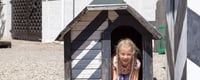 Get Out of the Doghouse Day (19th July, 2021) Days Of The Year