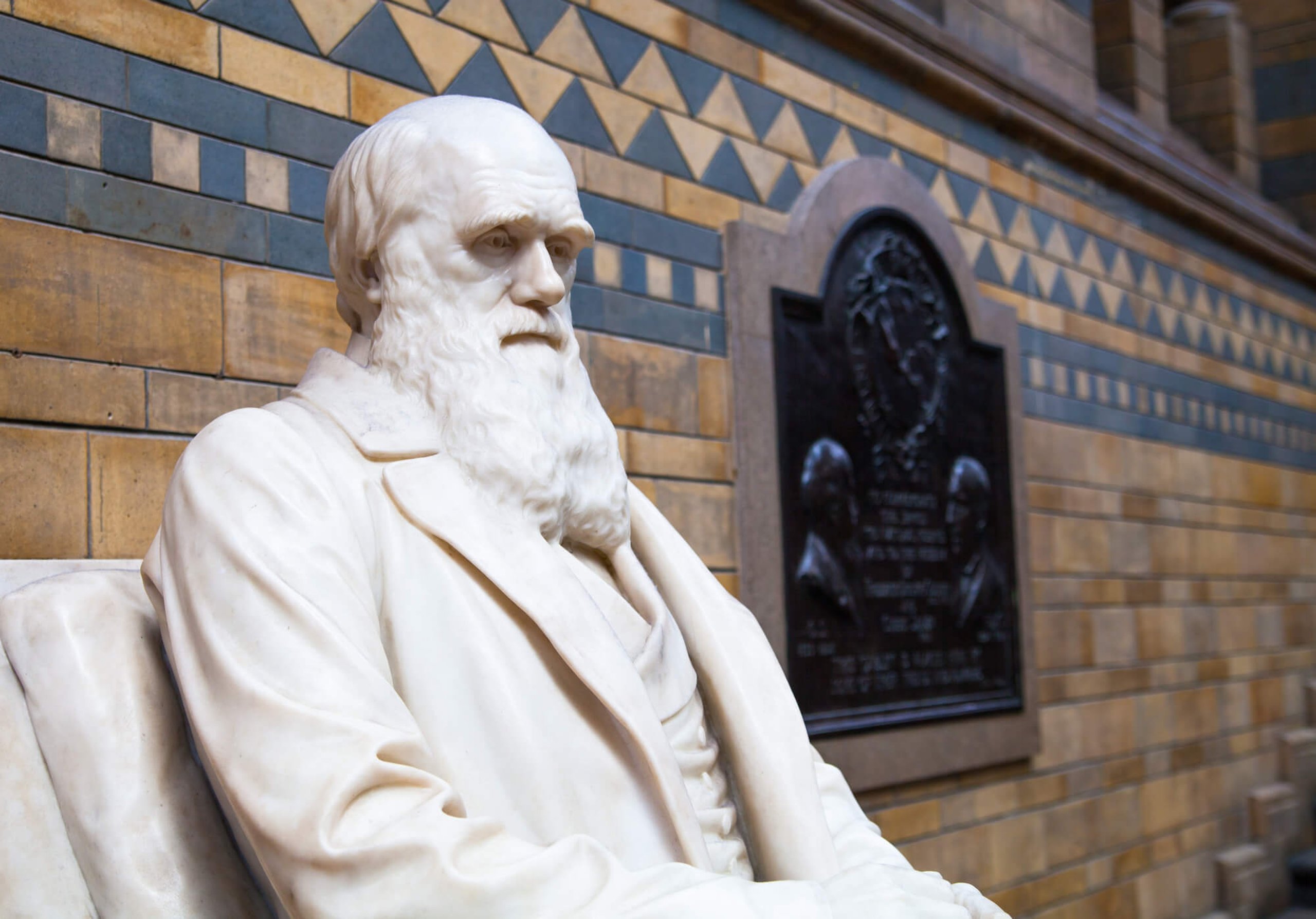 Darwin Day (12th February) | Days Of The Year