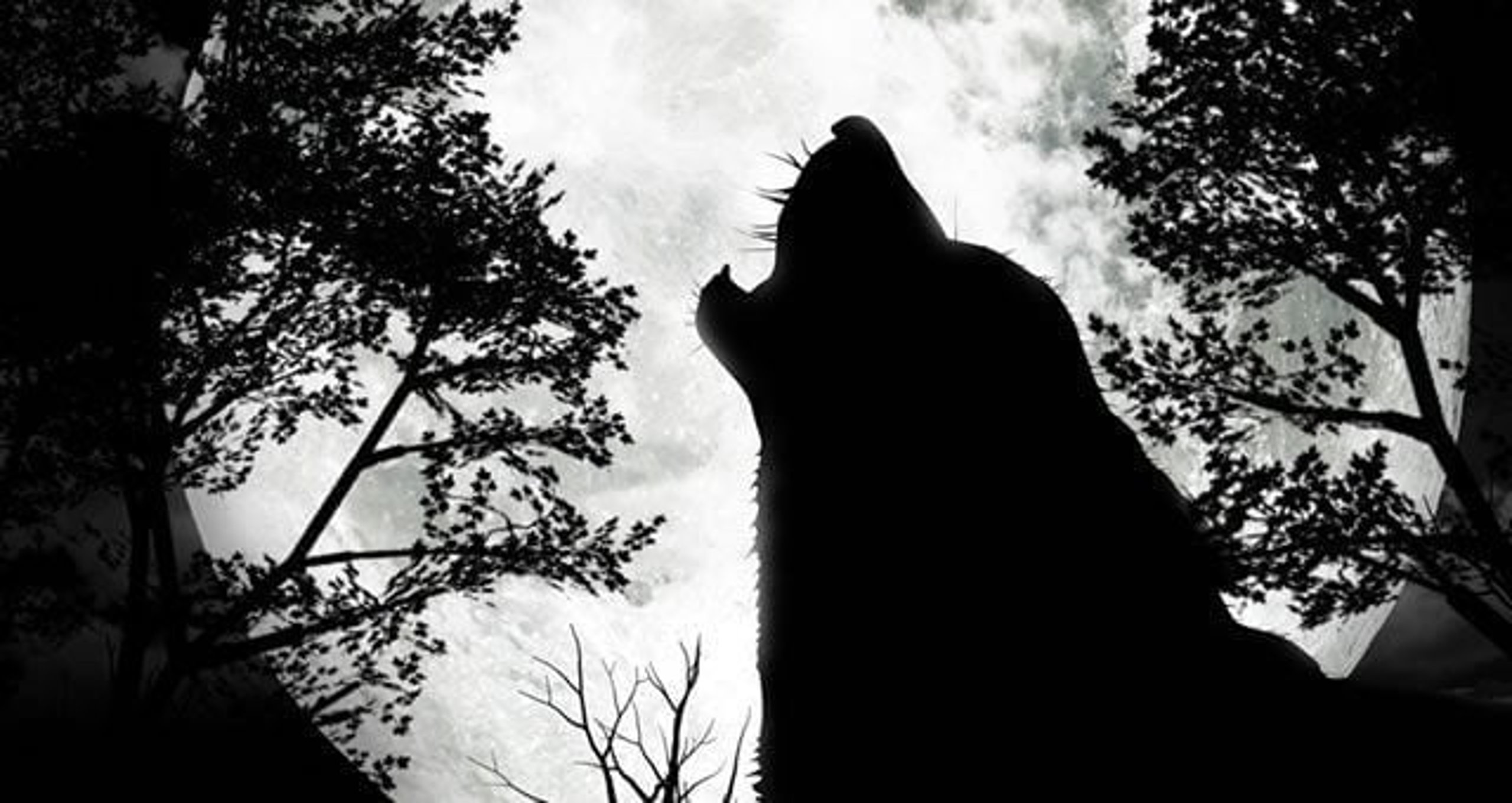 Howl At The Moon Day (26th October) | Days Of The Year
