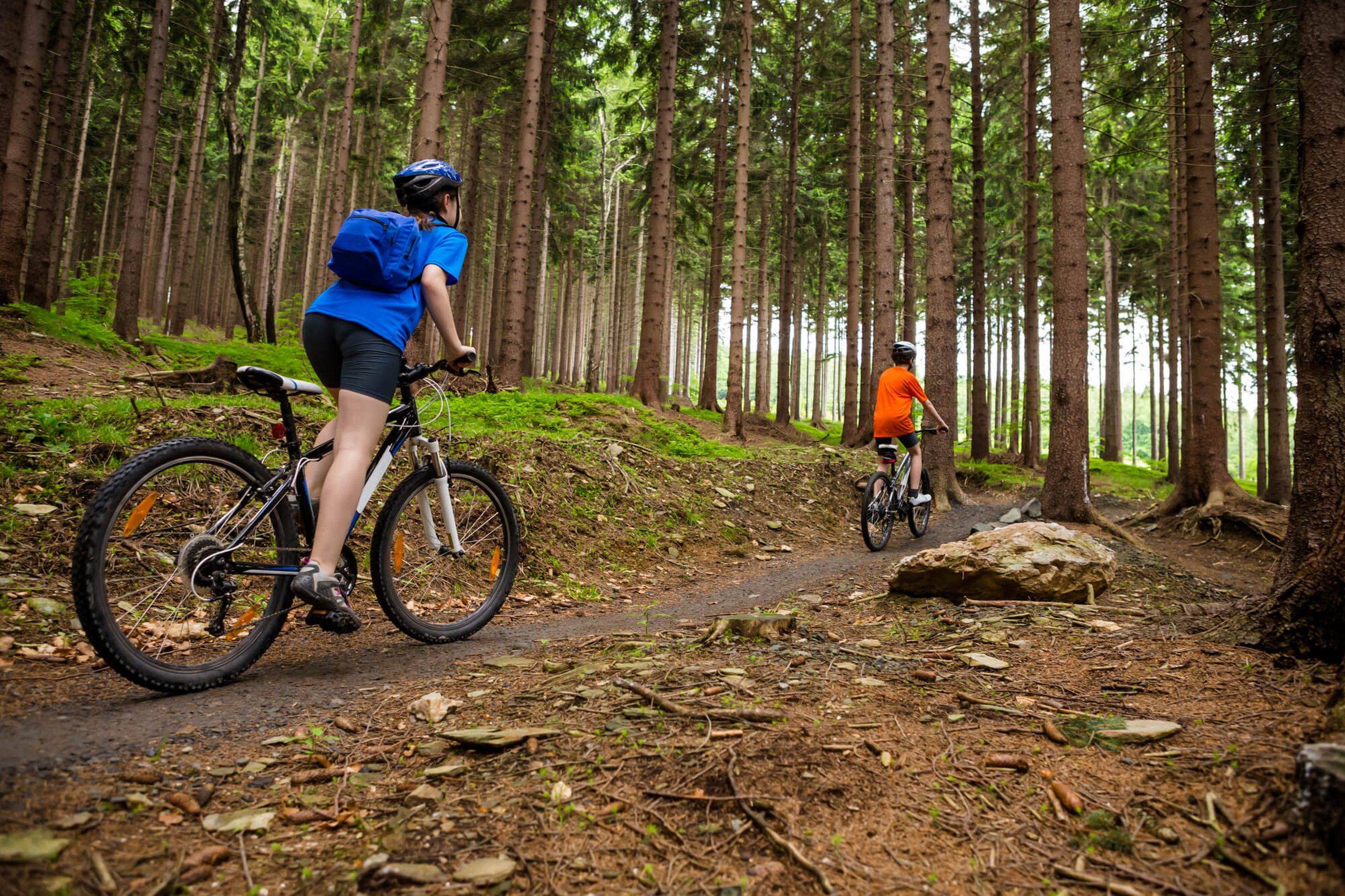 Trails Day (5th June, 2021) Days Of The Year
