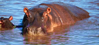 February 2019 Days Of The Year You can also enter a negative number to find out when x days before that date happened to fall. february 2019 days of the year