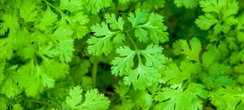 February 2019 Days Of The Year Best kodi addons february 2021 list (free links). february 2019 days of the year