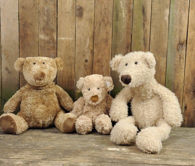 about teddy bear