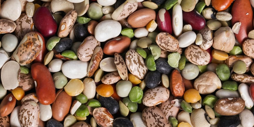 Eat Beans Day (3rd July) Days Of The Year