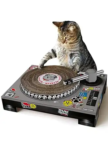 Cat scratching DJ decks