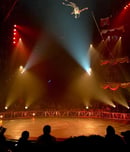american circus day