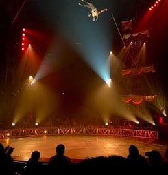 american circus day