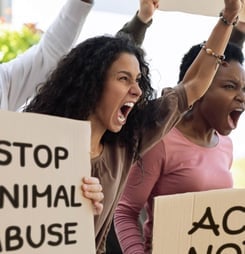 Animal Rights Awareness Week