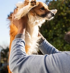 bond with your dog day