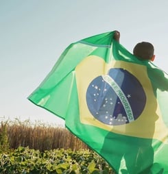 brazil's independence day