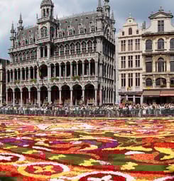 brussels flower carpet
