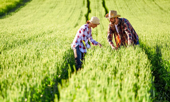 canada's agriculture day