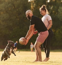 canine fitness month