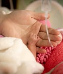 A closeup of a hand of a premature newborn baby in incubator