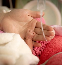 A closeup of a hand of a premature newborn baby in incubator
