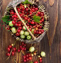 cranberries and gooseberries month
