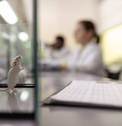 World Day For Animals In Laboratories