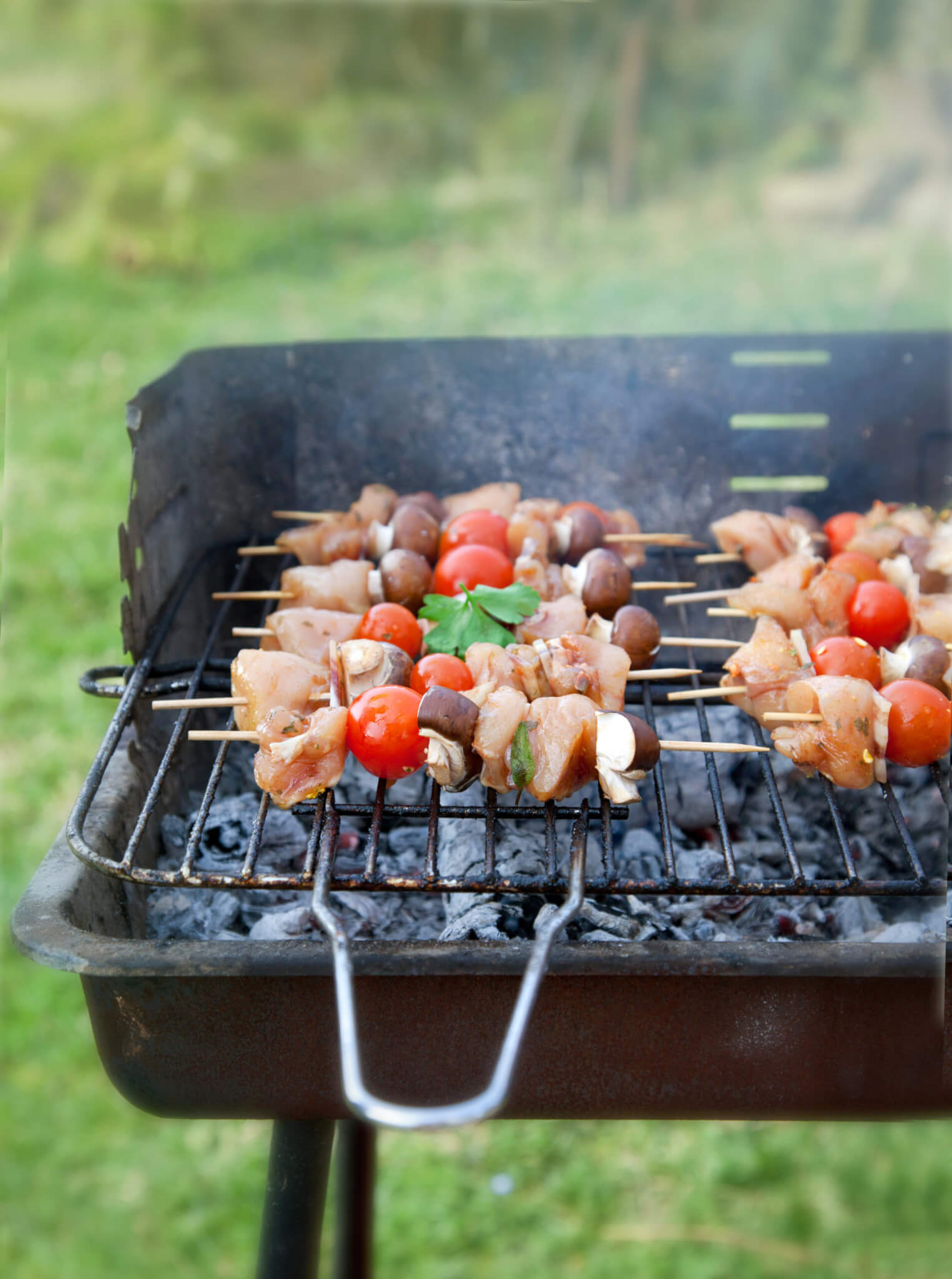 National Barbecue Month (May 2025) Days Of The Year