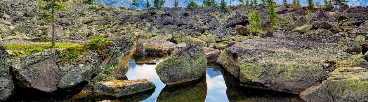 discover national parks fortnight