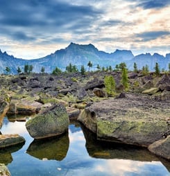 discover national parks fortnight