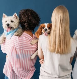 dog appreciation month