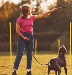 dog training education month