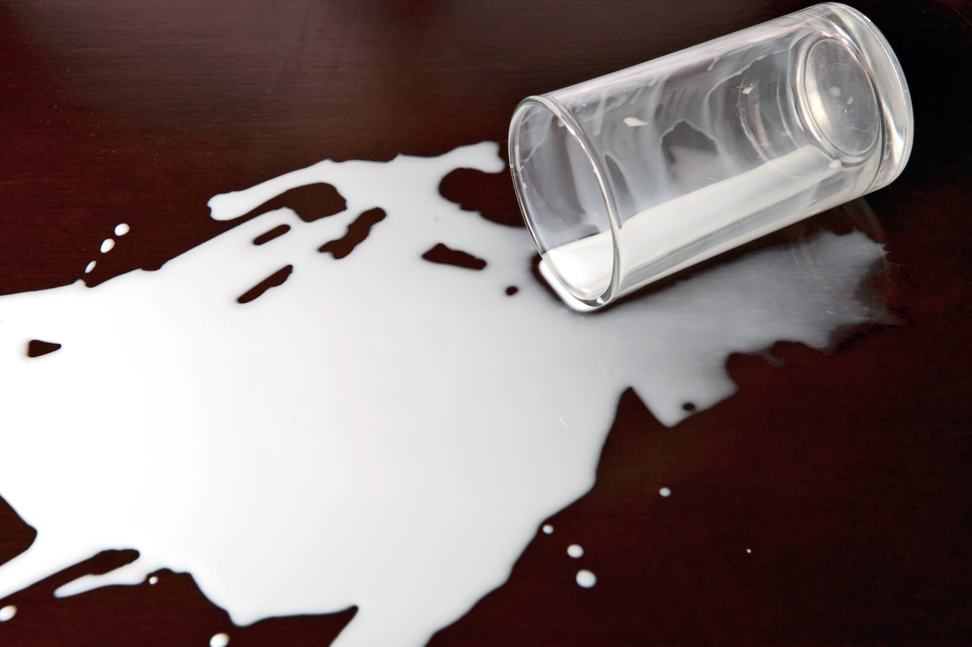 National Don't Cry Over Spilled Milk Day (February 11th) | Days Of The Year