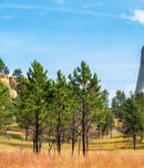 National Wyoming Day
