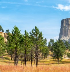 National Wyoming Day