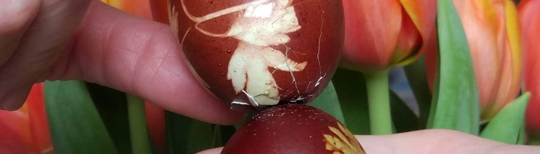 egg cracking competition