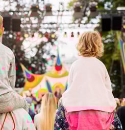 falls festival history