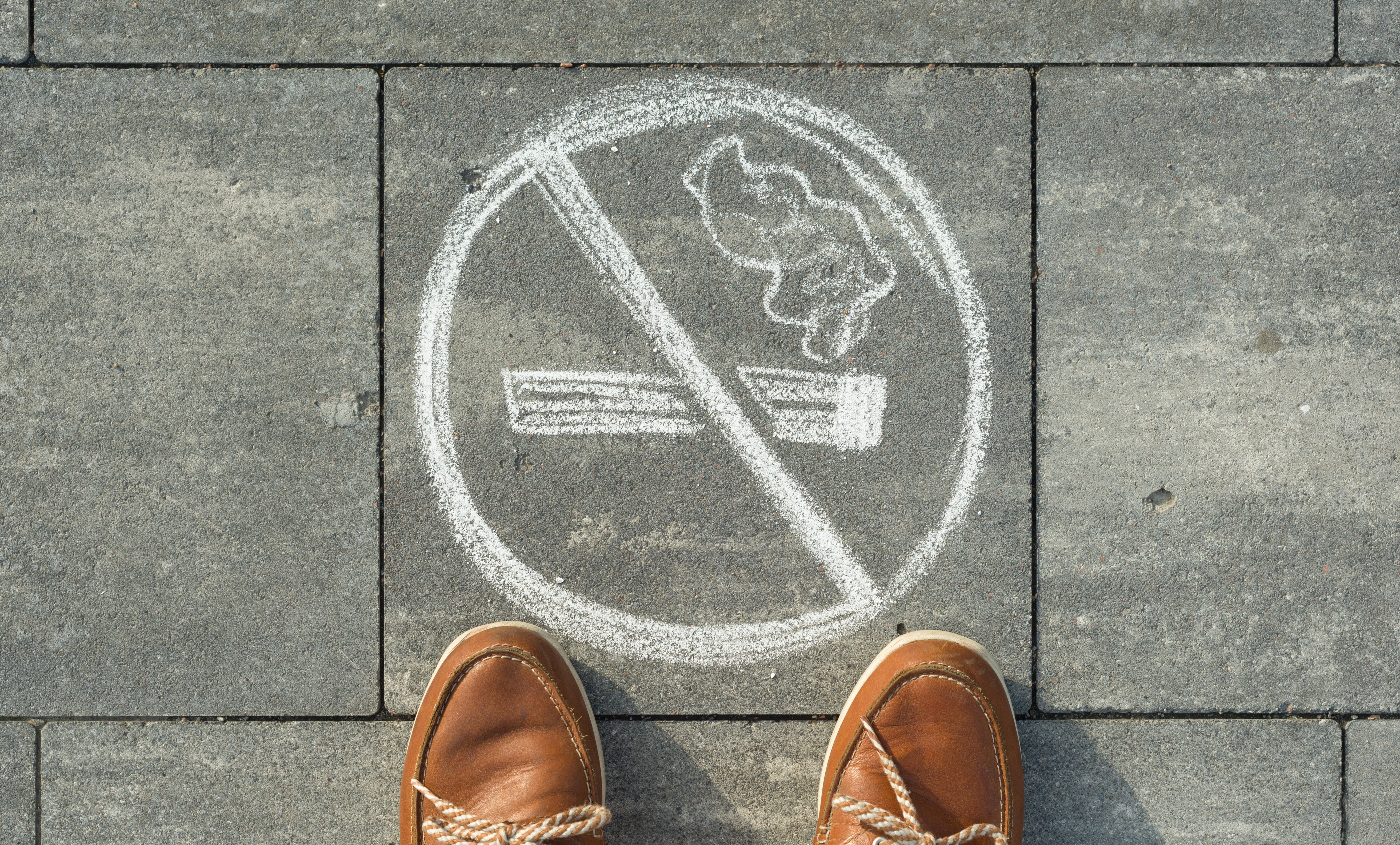 fancy bear tobacco petoskey mi SWEET FIRE TOBACCO - Updated May 2026 - 207 W Mitchell St, Petoskey,  Michigan - Tobacco Shops - Phone Number