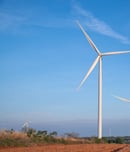 Field of electric windmill ecological