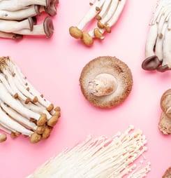 National Mushroom Month