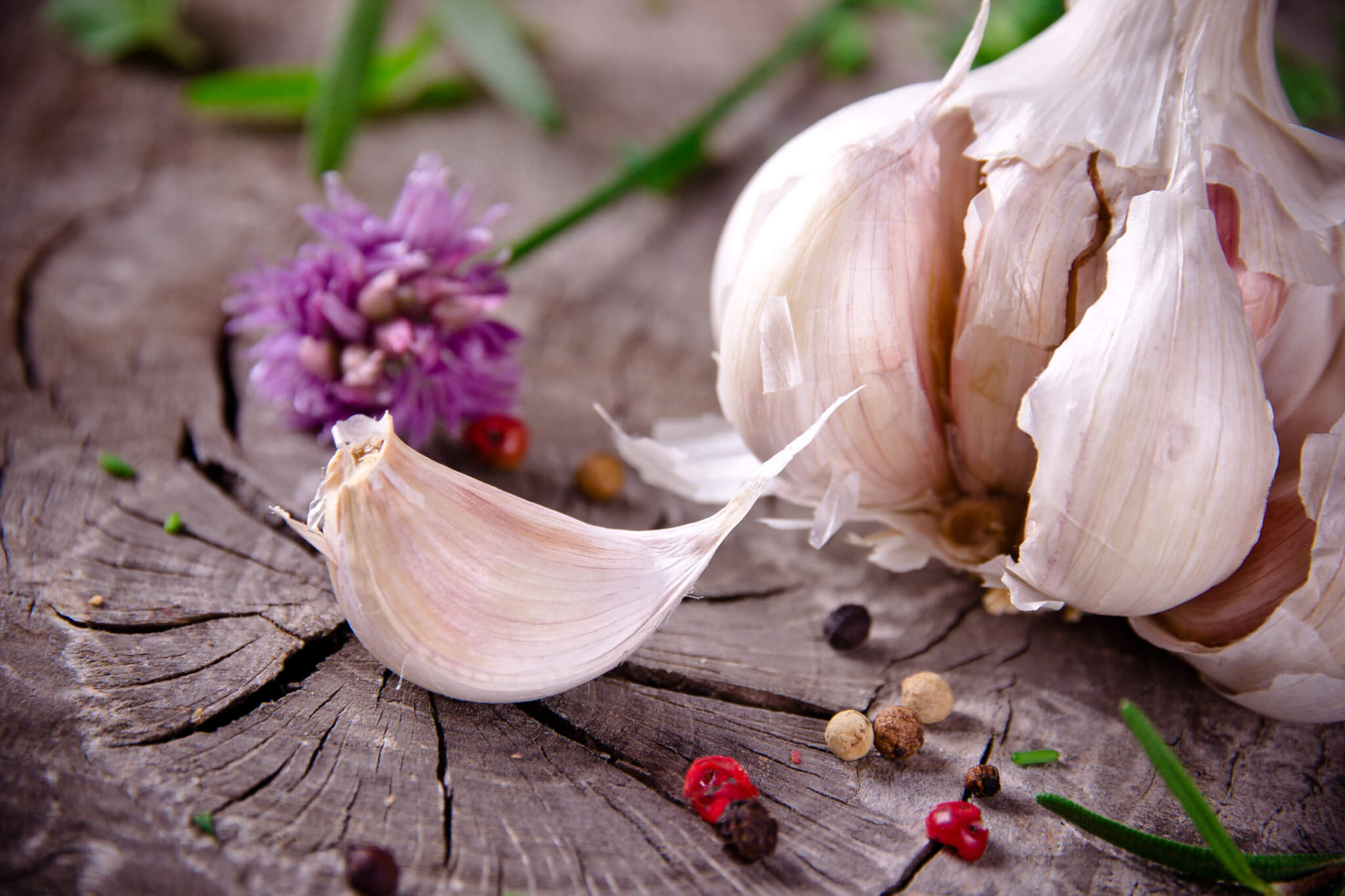 Garlic Day (19th April) | Days Of The Year