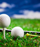 National Mulligan Day