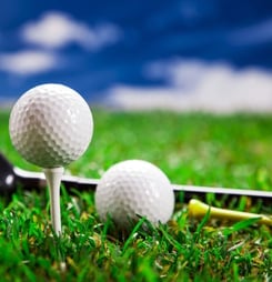 National Mulligan Day