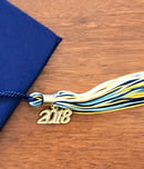 graduation tassel day