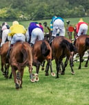 grand national