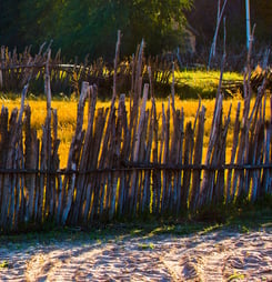 grass is always browner on the other side of the fence day
